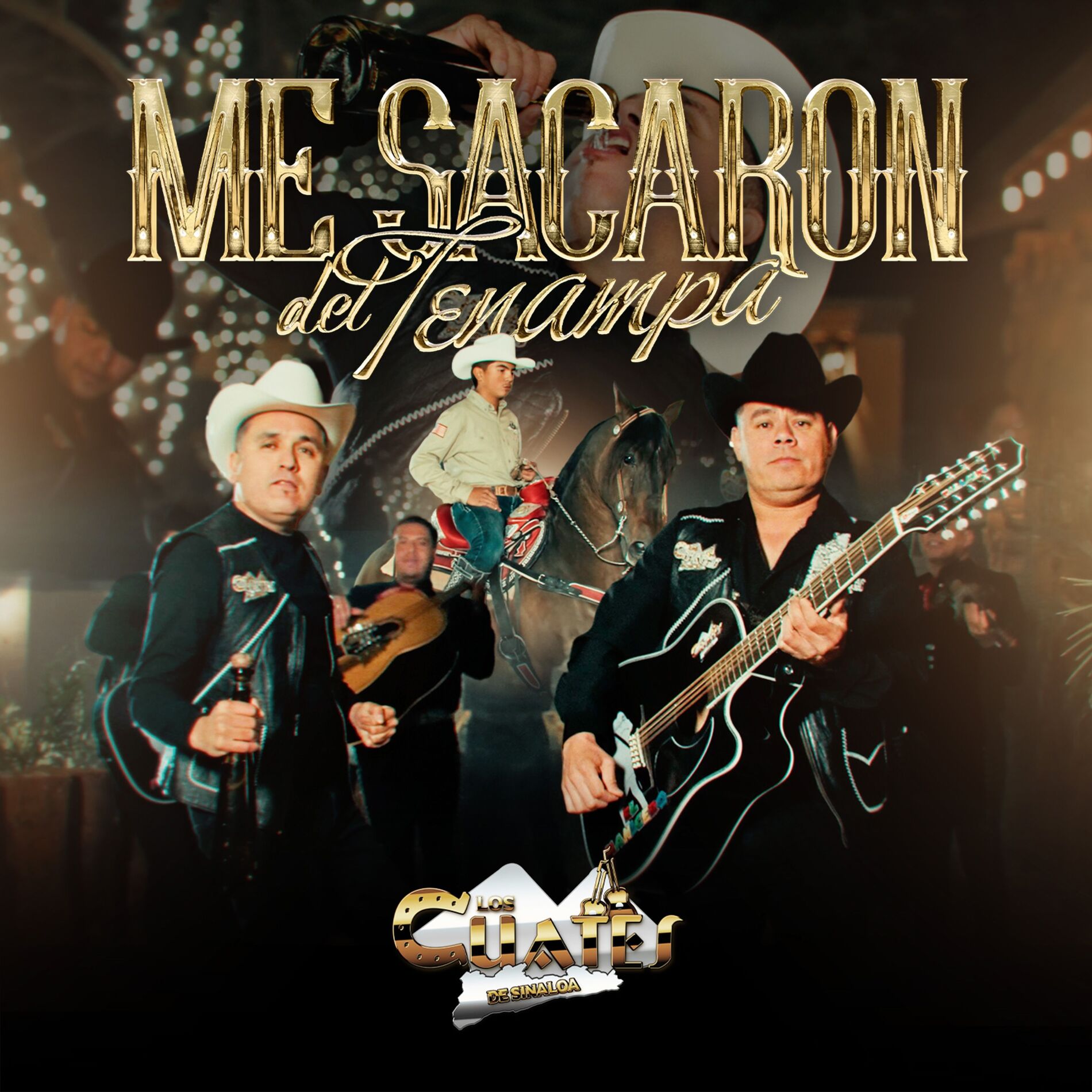 Album cover of Me sacaron del Tenampa