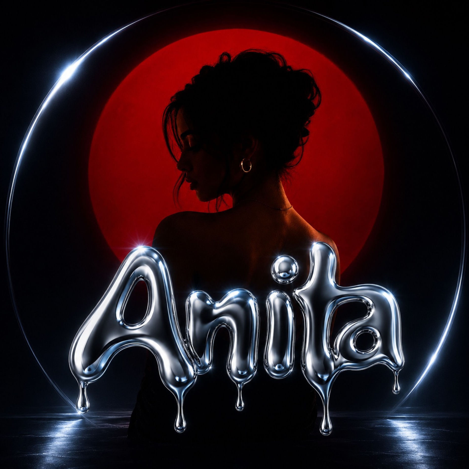 Album cover of Anita
