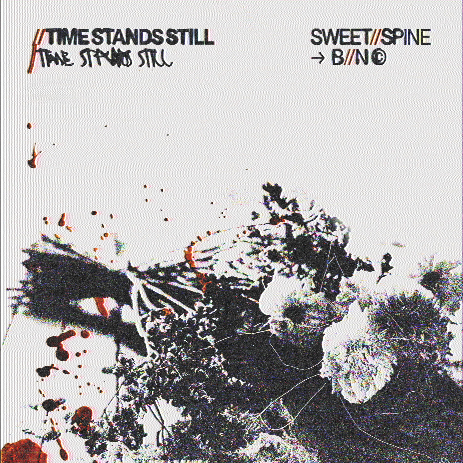 Album cover of time stands still