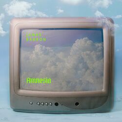 Cover of Amnesia