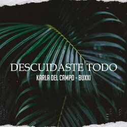 Cover of Descuidaste Todo