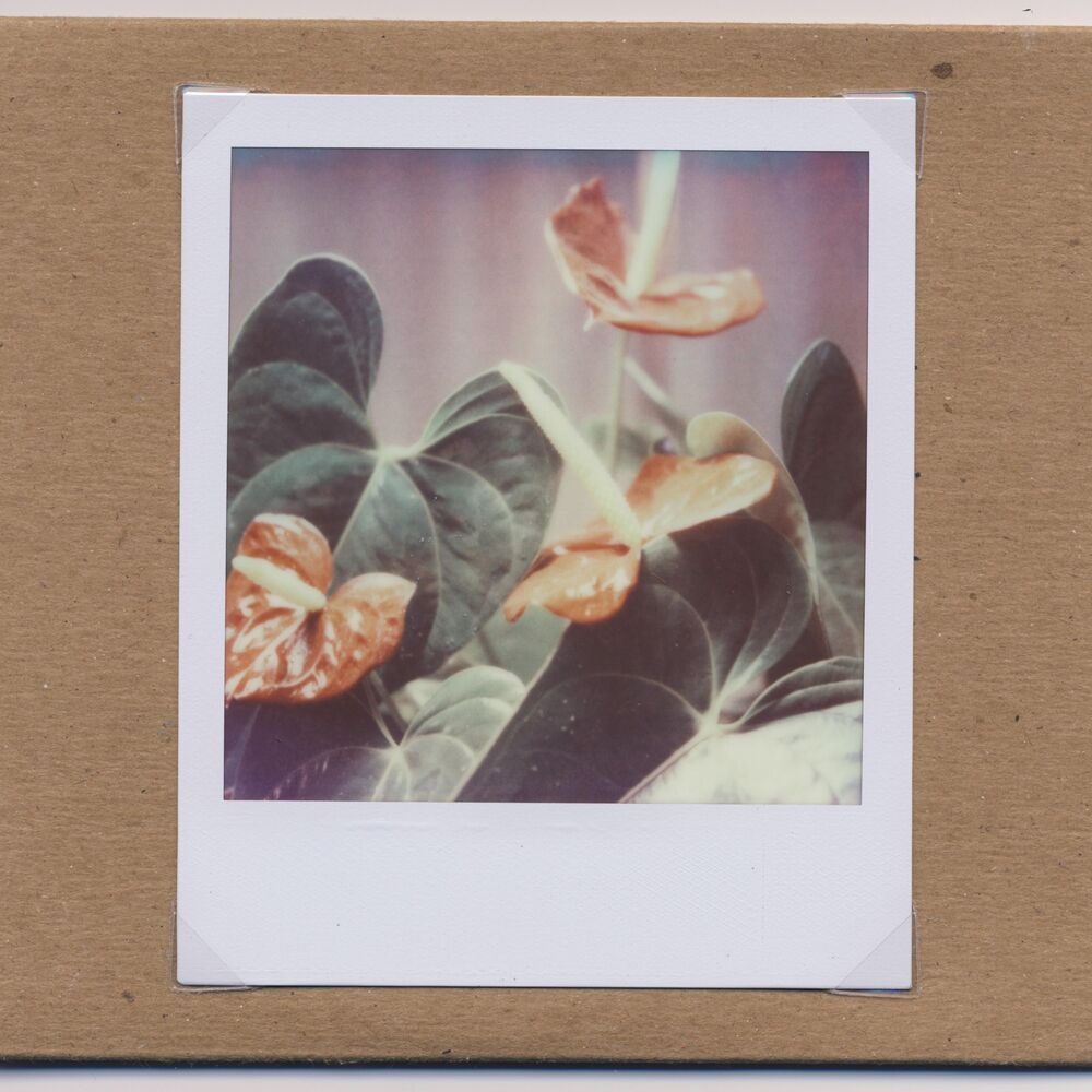 Picture of Untitled