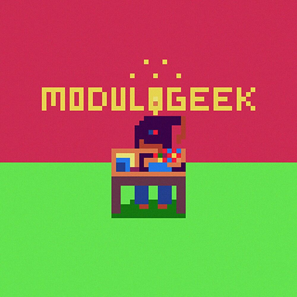 Picture of Modulogeek