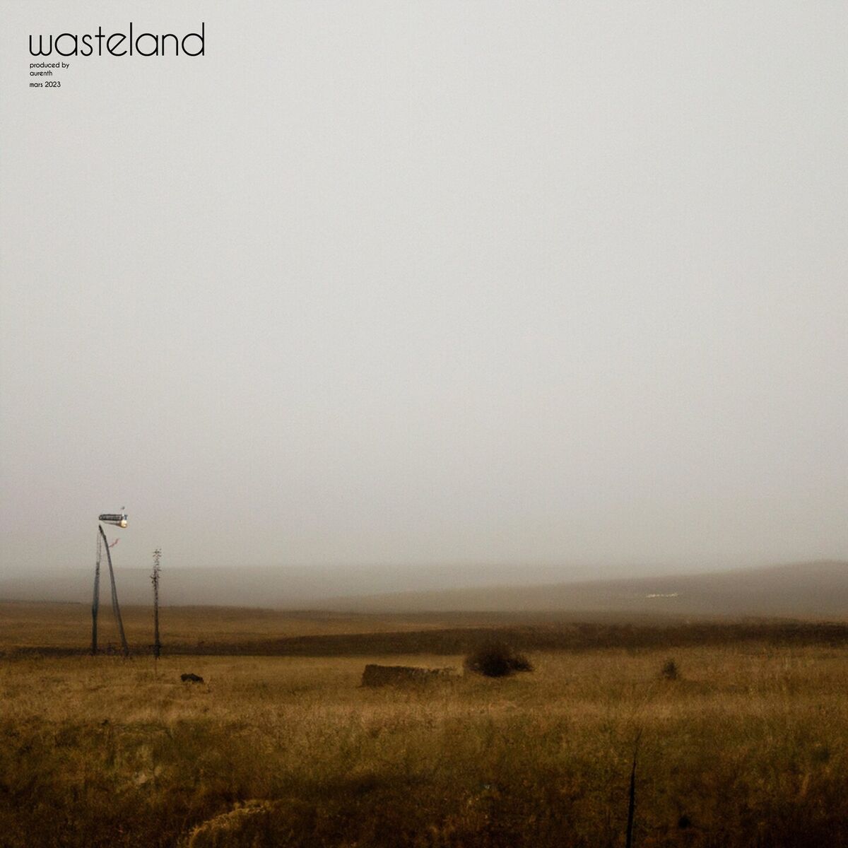 Album cover of wasteland