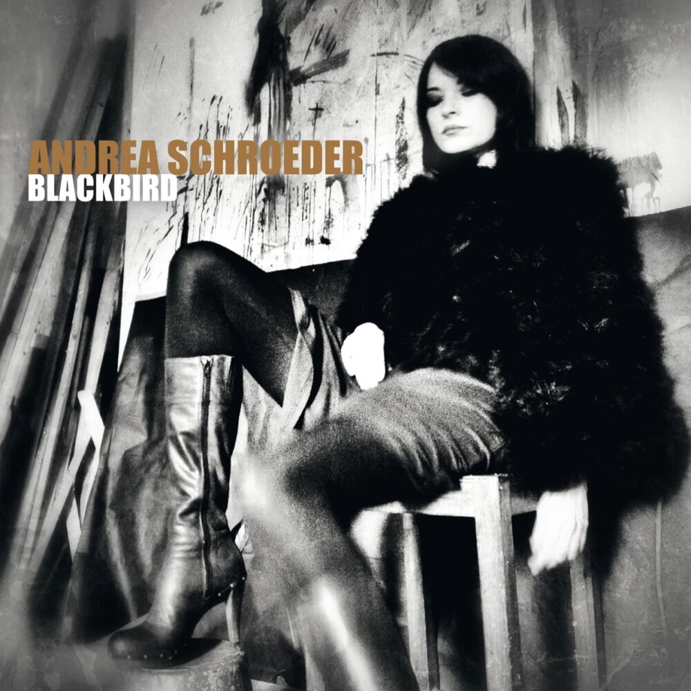 Picture of Blackbird