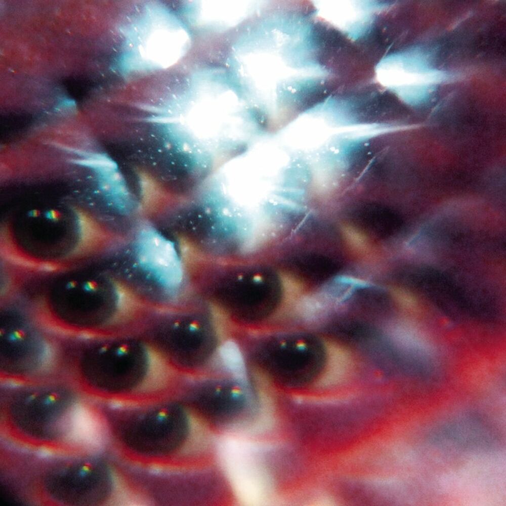 Picture of Flash Delirium