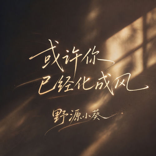 或许你已经化成风