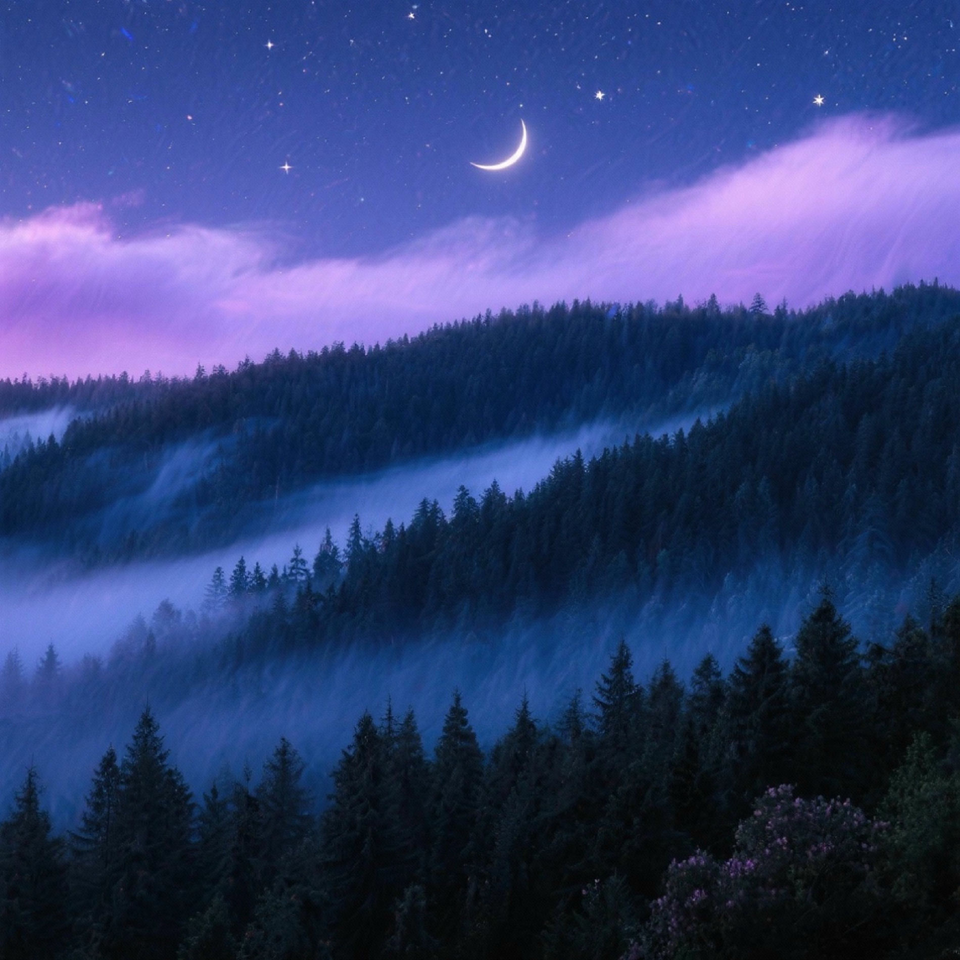 Album cover of Forêt Indigo Relaxation Binaurale