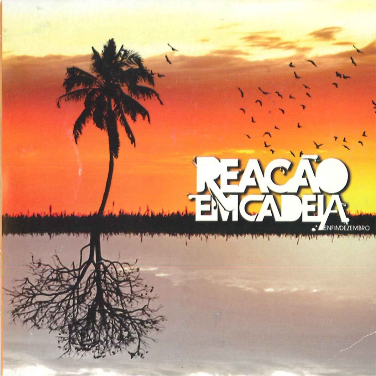 Album cover of Enfim Dezembro