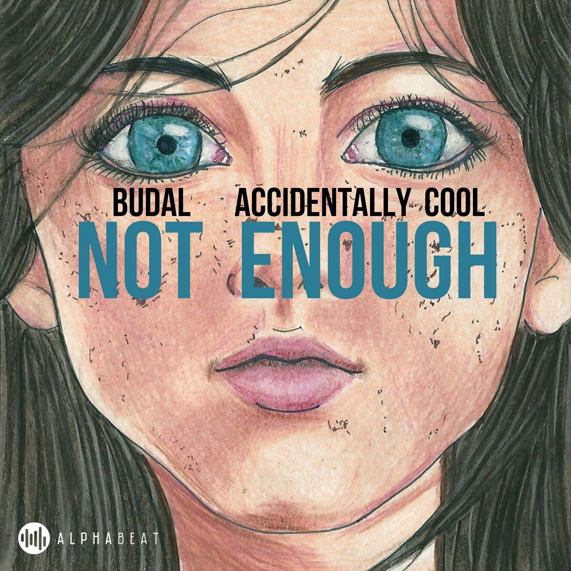 Album cover of Not Enough