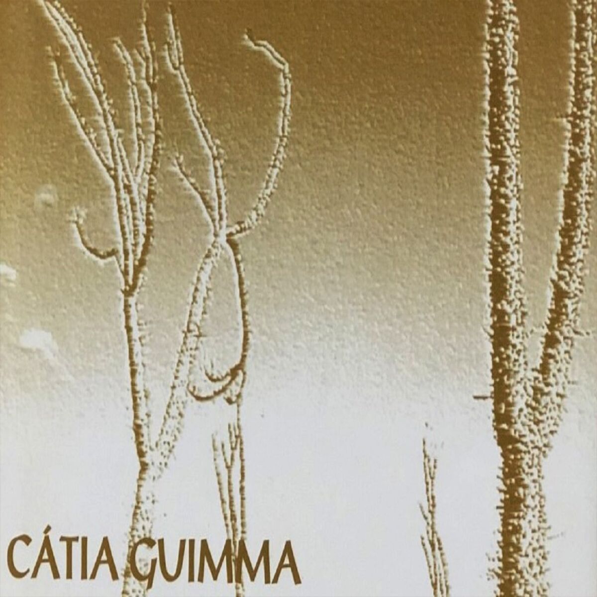 Album cover of Raridades