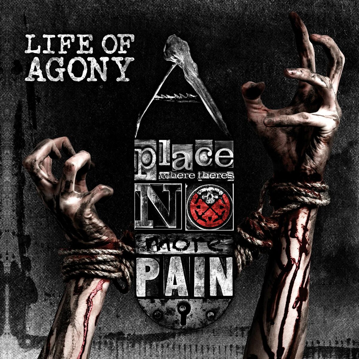 Album cover of Bag of Bones