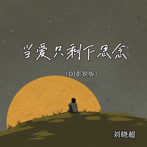 当爱只剩下思念(DJ彭锐版)