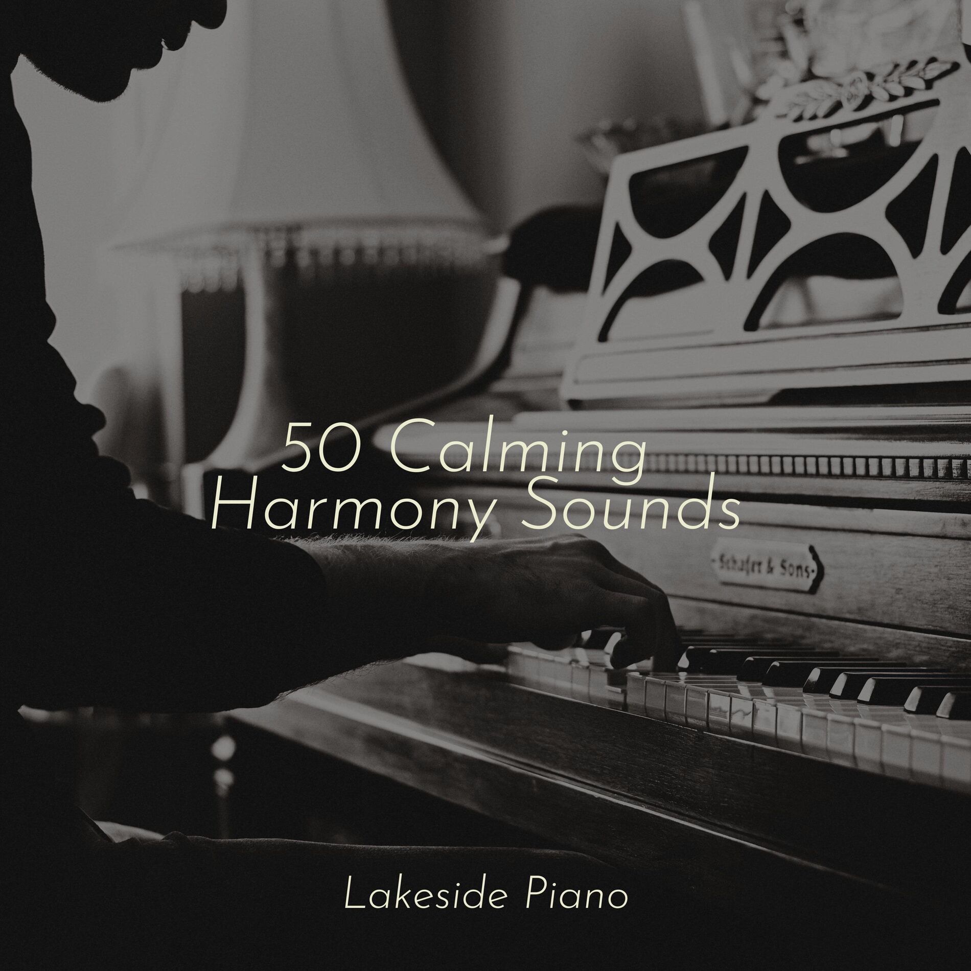 Album cover of 50 Calming Harmony Sounds