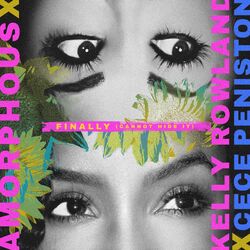 Cover of Finally (Cannot Hide It)