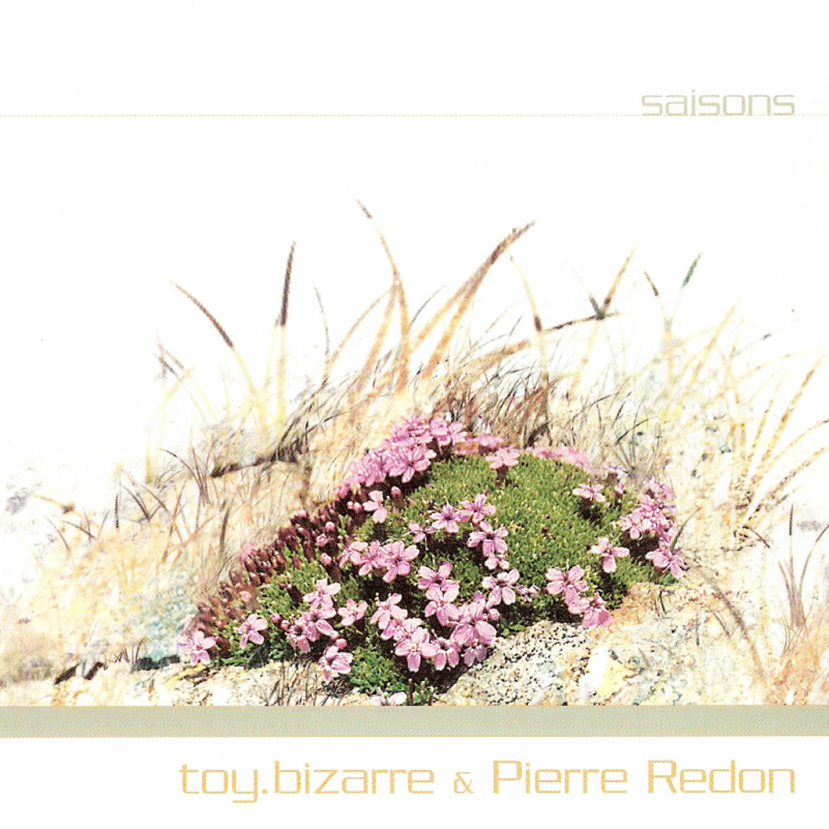 Album cover of Saisons