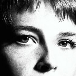 Cover of Surrender