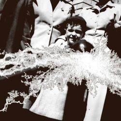 Cover of Lionize/Truly - Digital 7 Inch