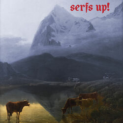Cover of Serfs Up!