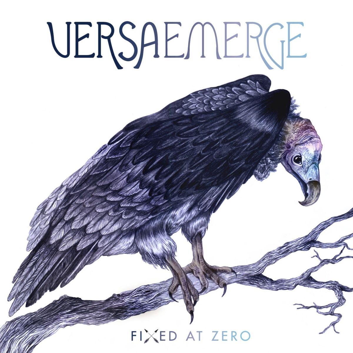 Album cover of Fixed At Zero