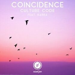 Cover of Coincidence