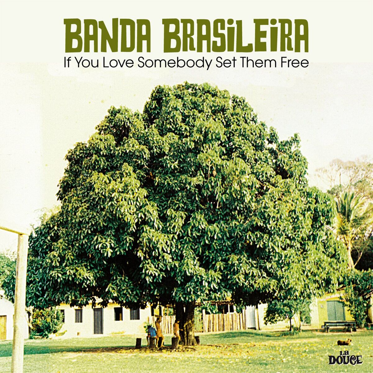 Album cover of If You Love Somebody Set Them Free