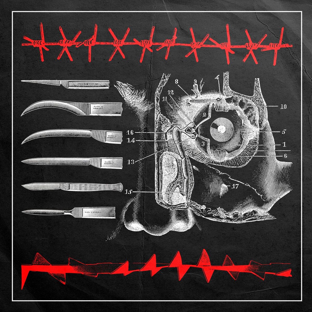 Album cover of Live in Orlando, FL 3/14/2022