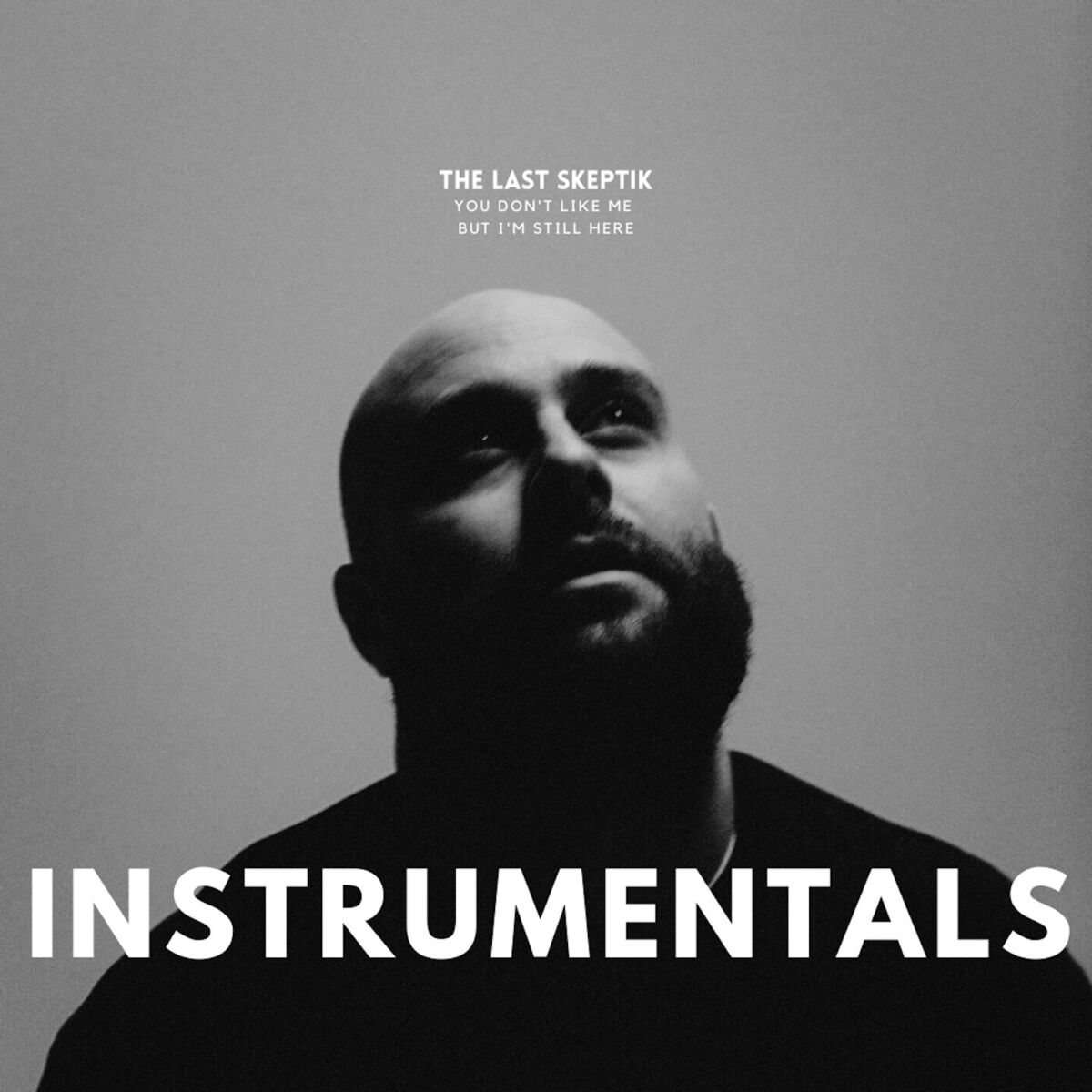 Album cover of you don't like me but i'm still here (Instrumentals)