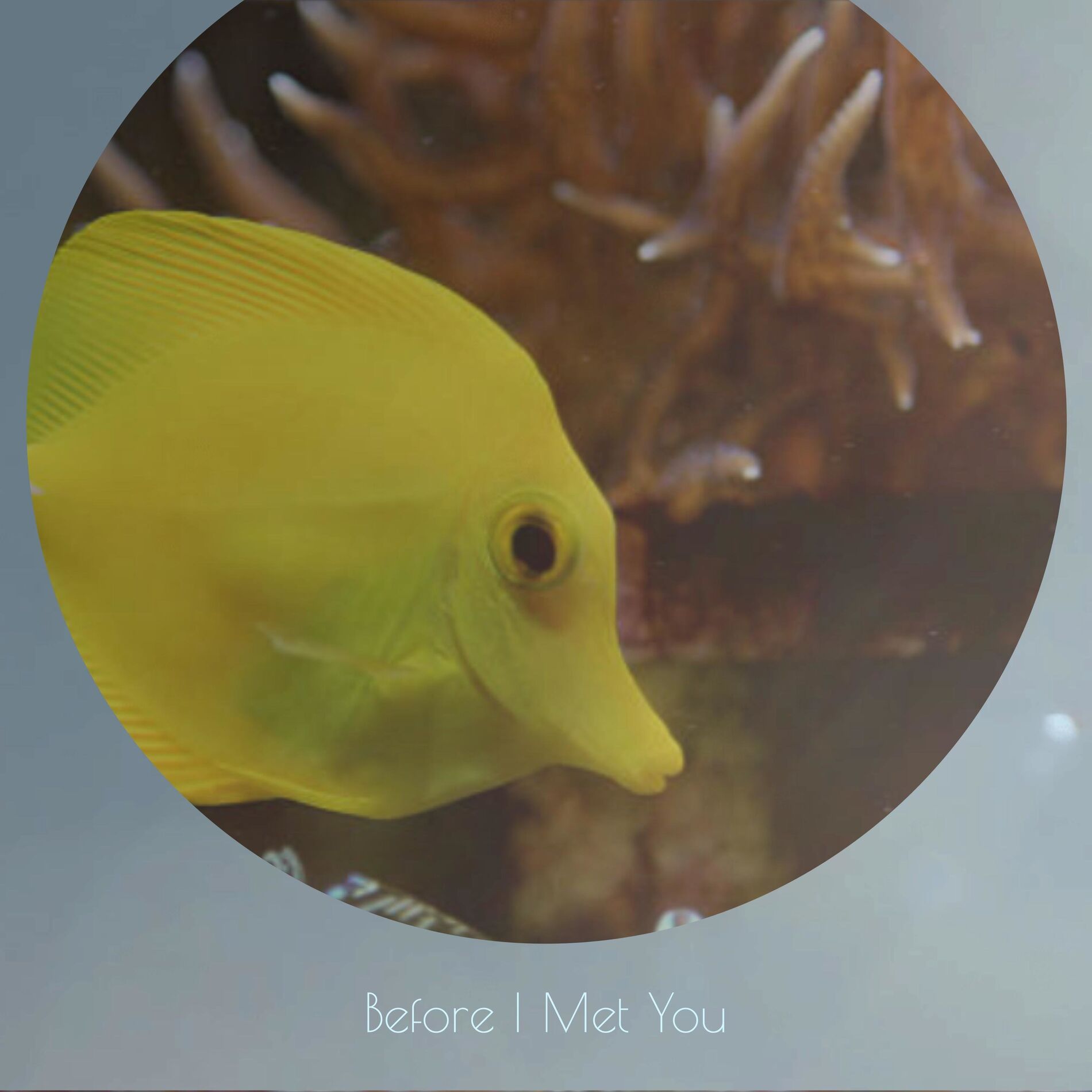 Album cover of Before I Met You