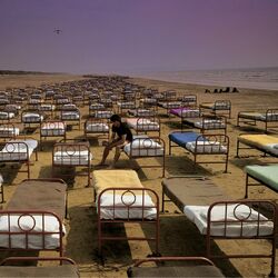 Cover of A Momentary Lapse of Reason