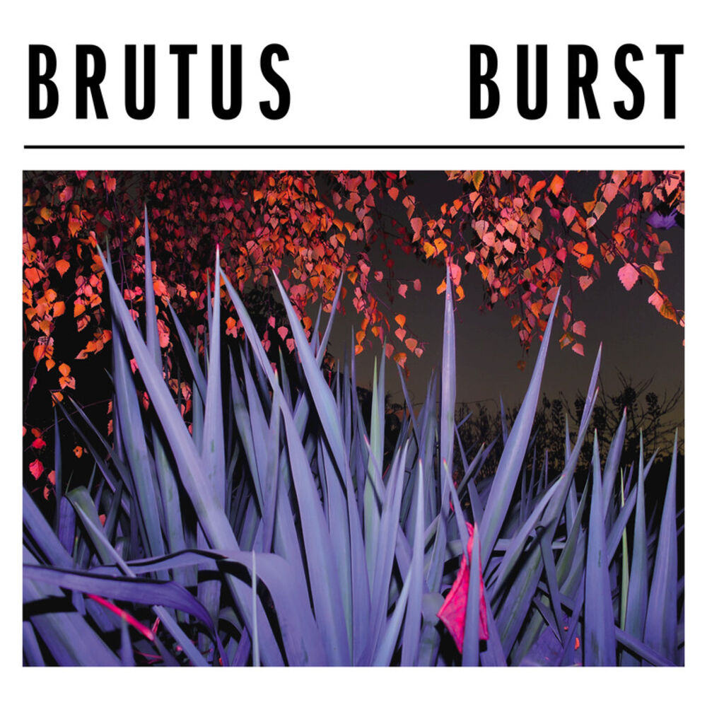 Picture of Burst