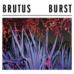 Cover of Burst