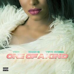 Cover of One Of a Kind