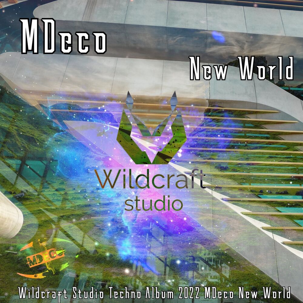 Picture of New World