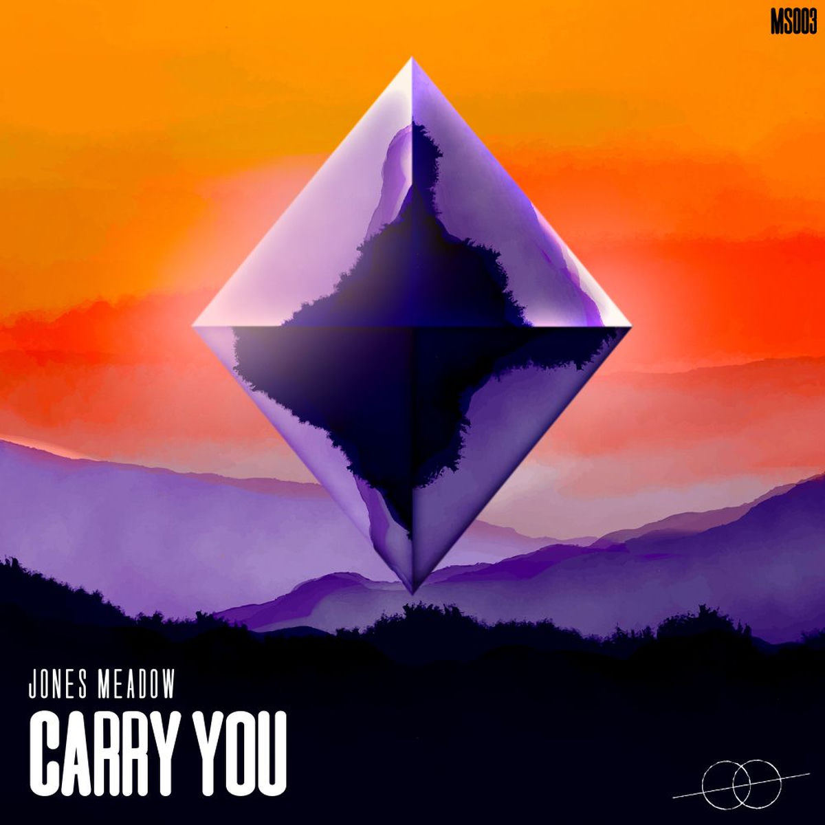 Album cover of Carry You