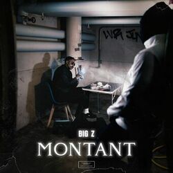 Cover of Montant