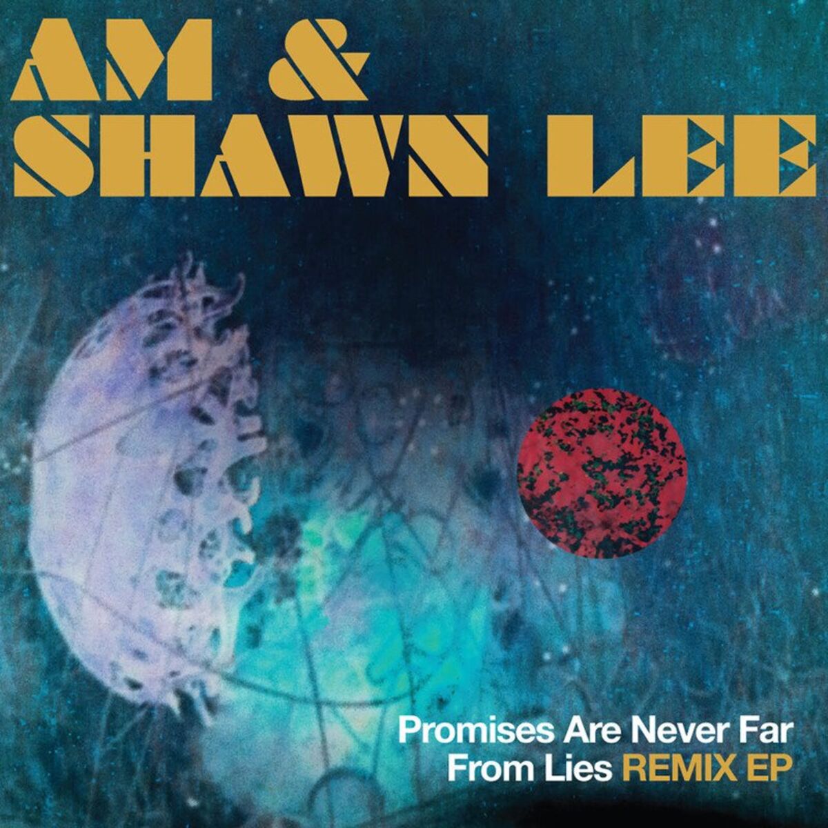 Album cover of Promises Are Never Far From Lies Remix EP