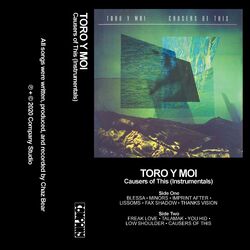 Cover of Causers of This (Instrumentals)