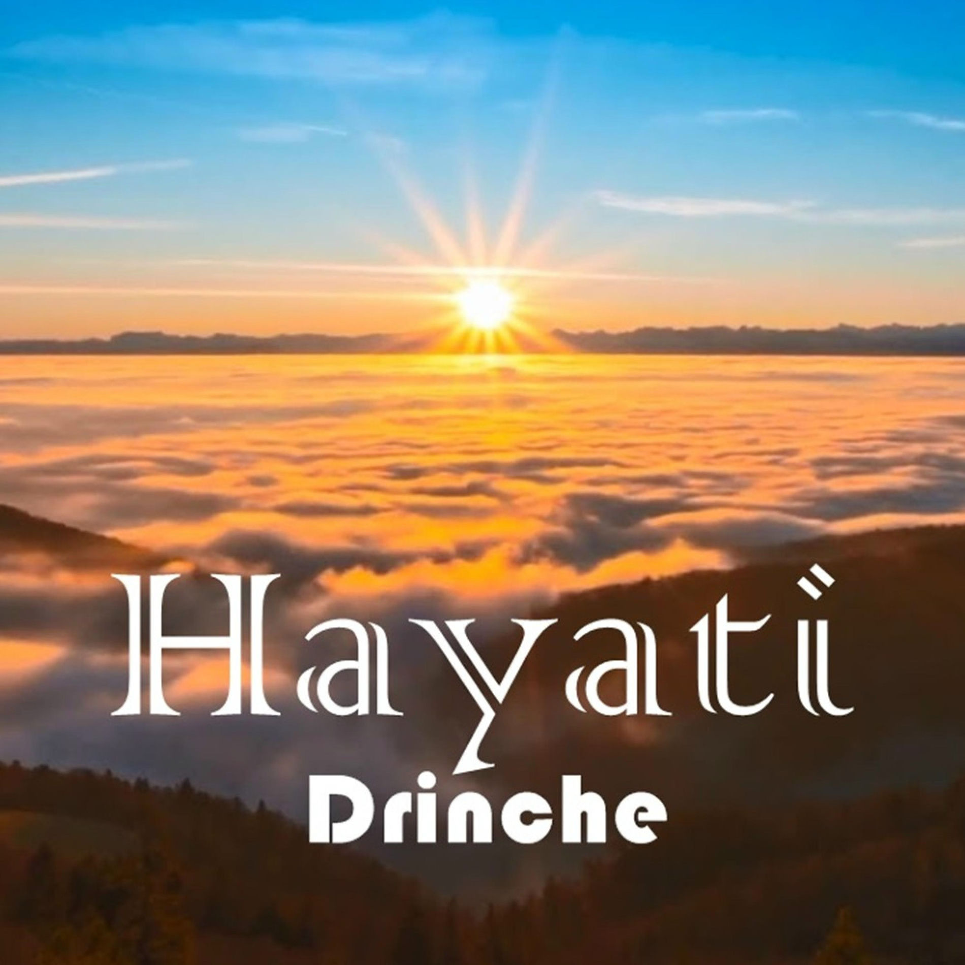 Album cover of Hayati