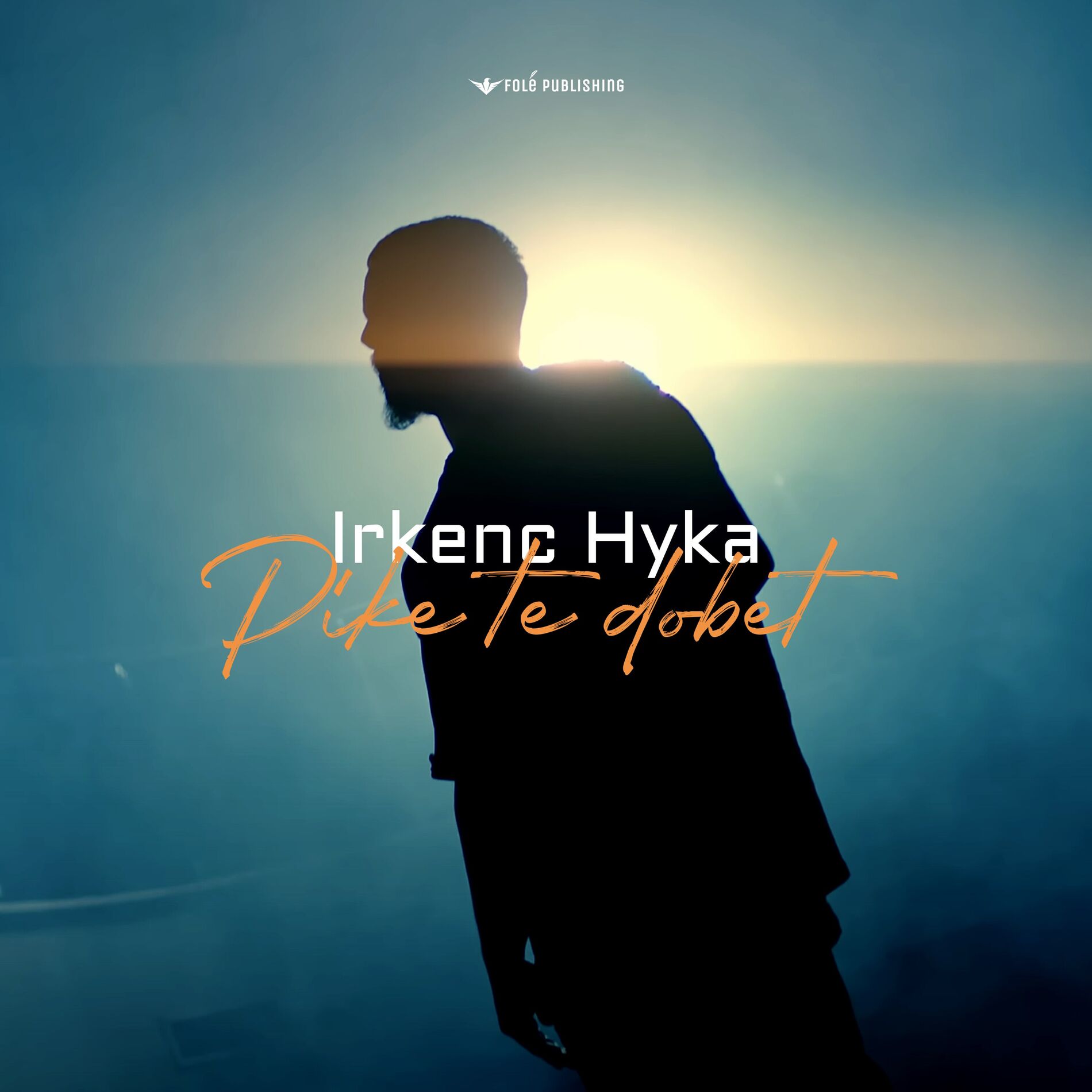 Album cover of Pike te dobet