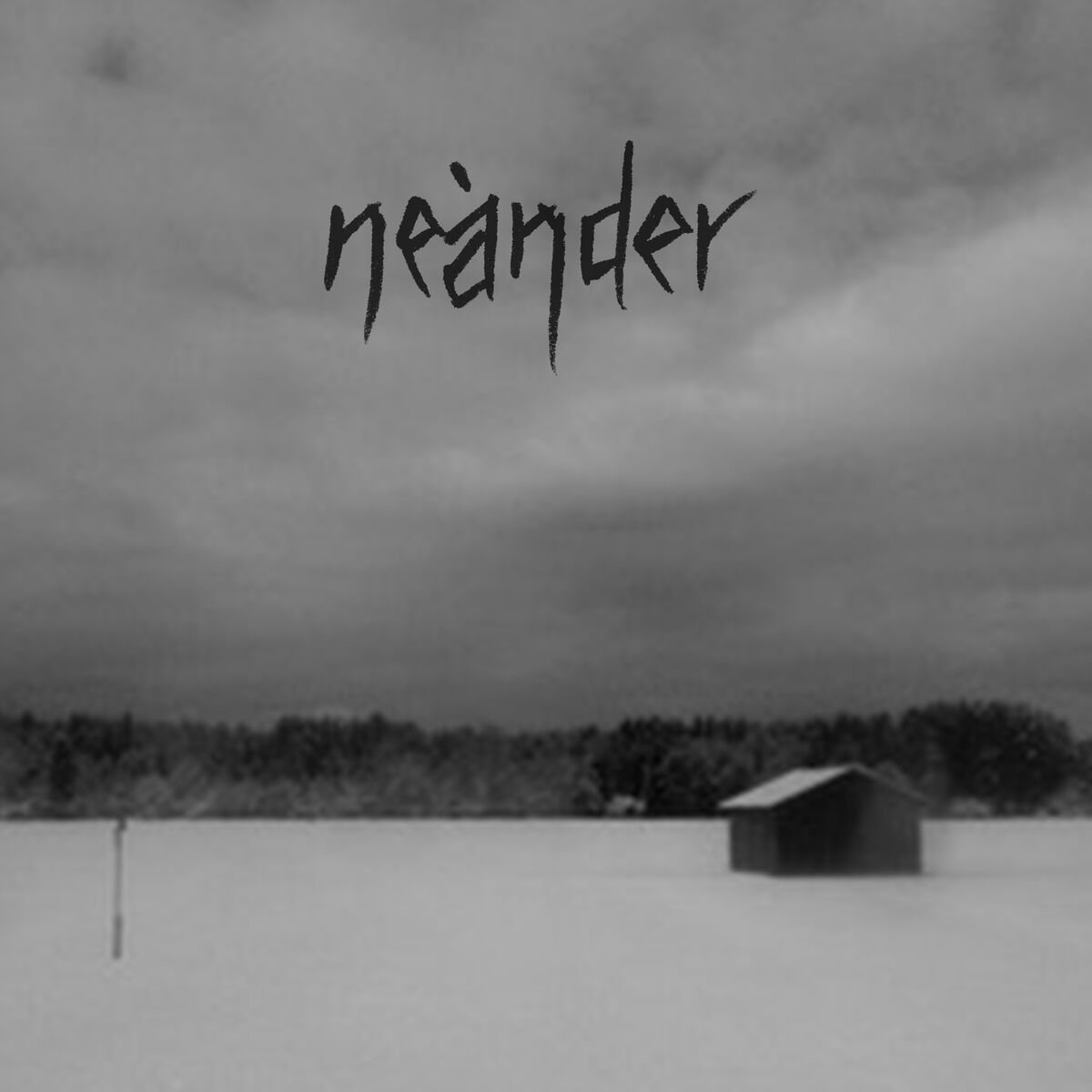 Album cover of aas