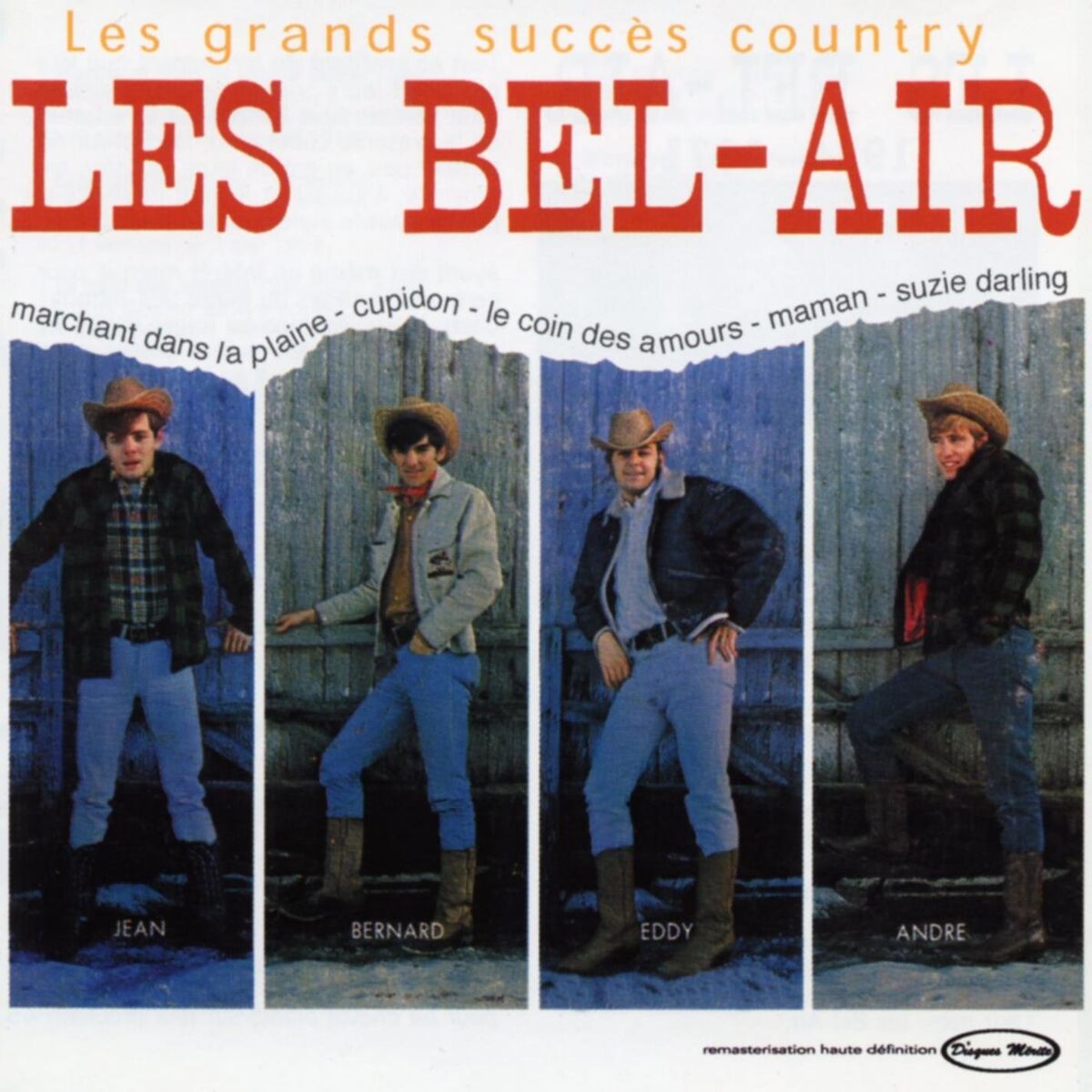 Album cover of Les grands succès country