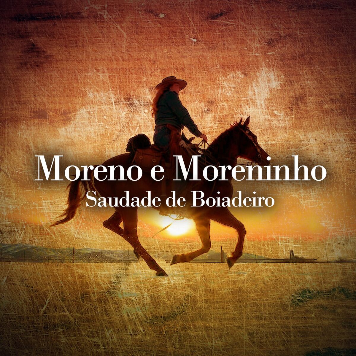 Album cover of Saudade de Boiadeiro