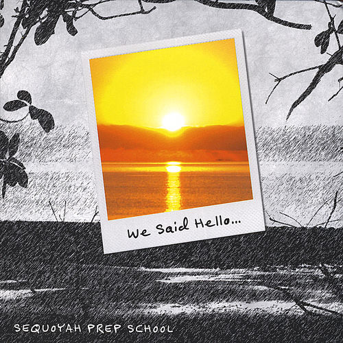 We Said Hello... artwork