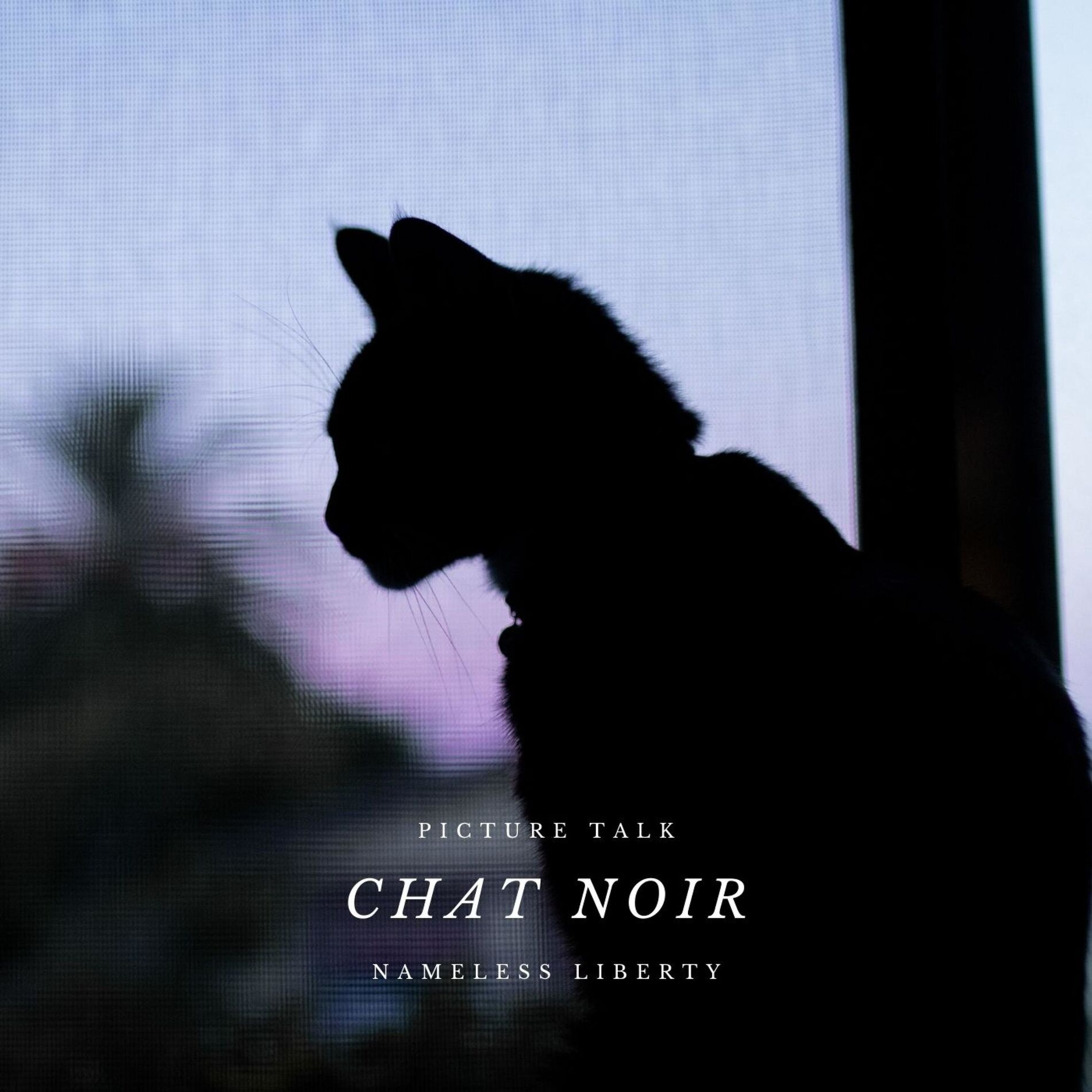 Album cover of Chat Noir