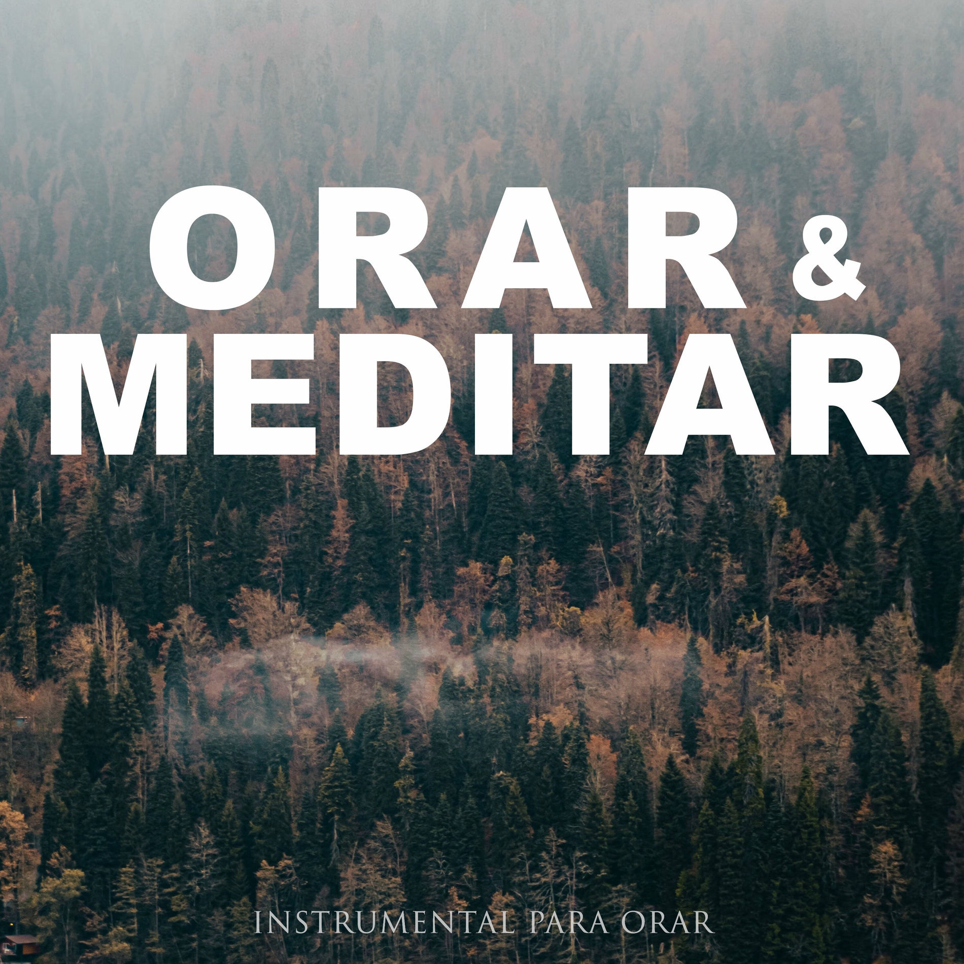 Album cover of Orar y Meditar
