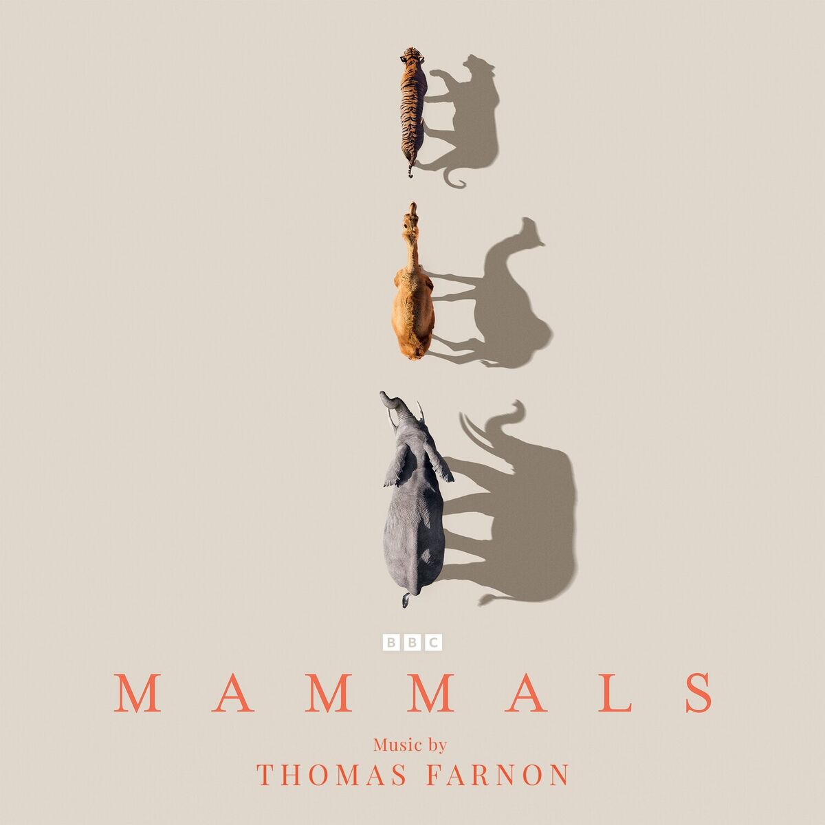 Album cover of Mammals (Original Television Soundtrack)