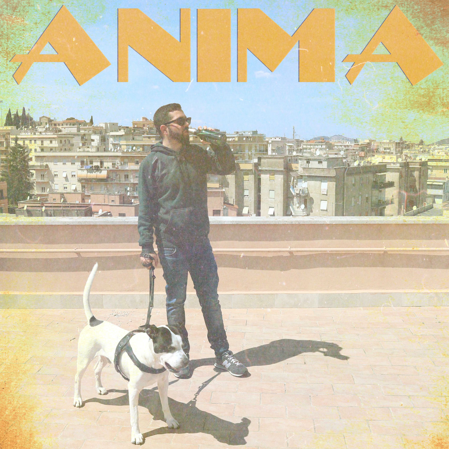 Album cover of ANIMA