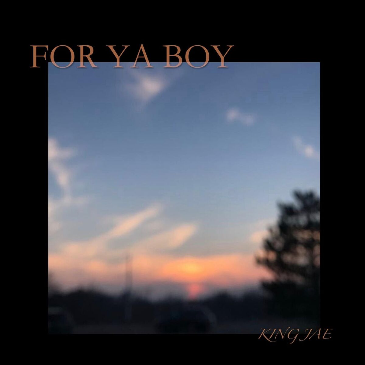 Album cover of For Ya Boy