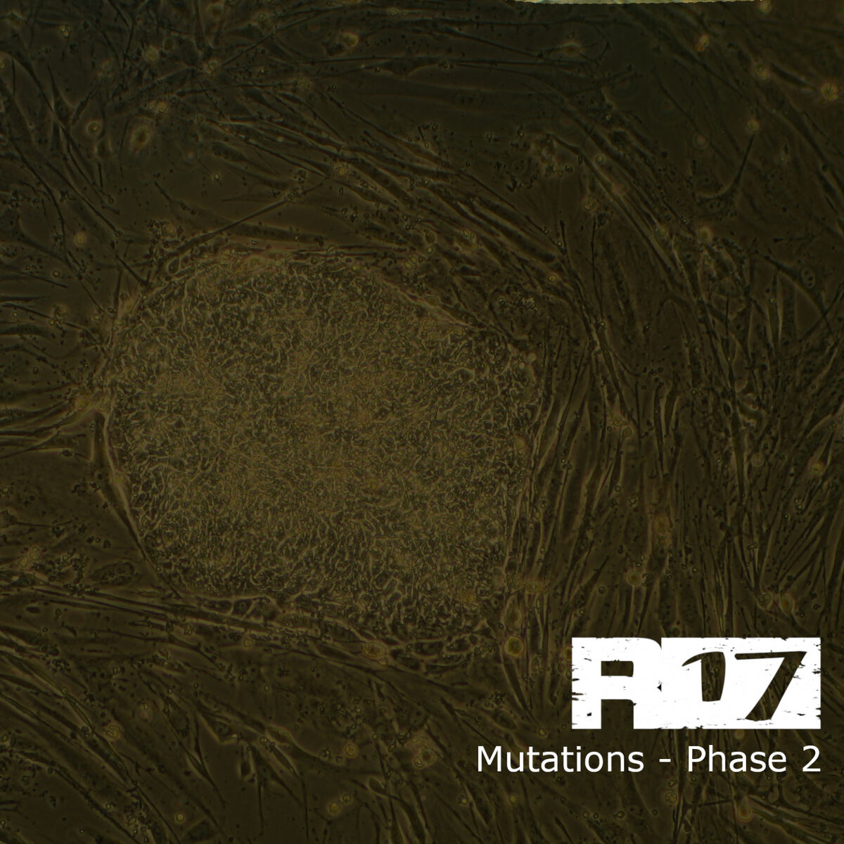 Album cover of Mutations / Phase 2